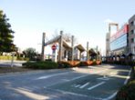 around_bus